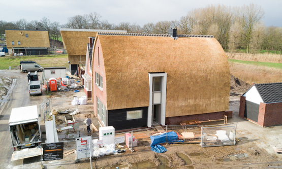 mierlo rond dak vuurvogel woning